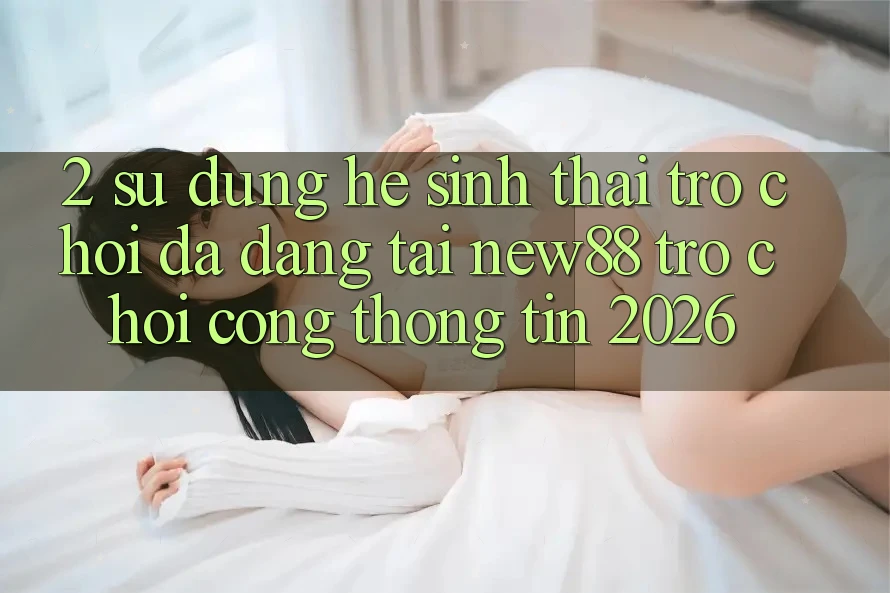 2. Sử dụng Hệ Sinh Thái Trò Chơi Đa Dạng Tại New88 Trò chơi Cổng thông tin 2026