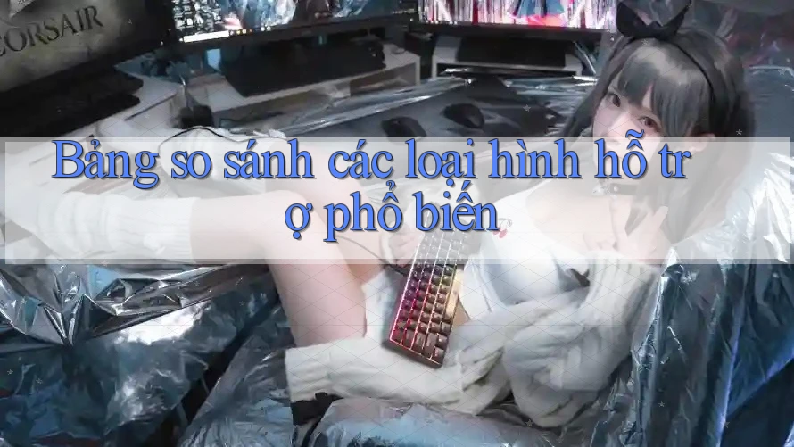 Bảng so sánh các loại hình hỗ trợ phổ biến