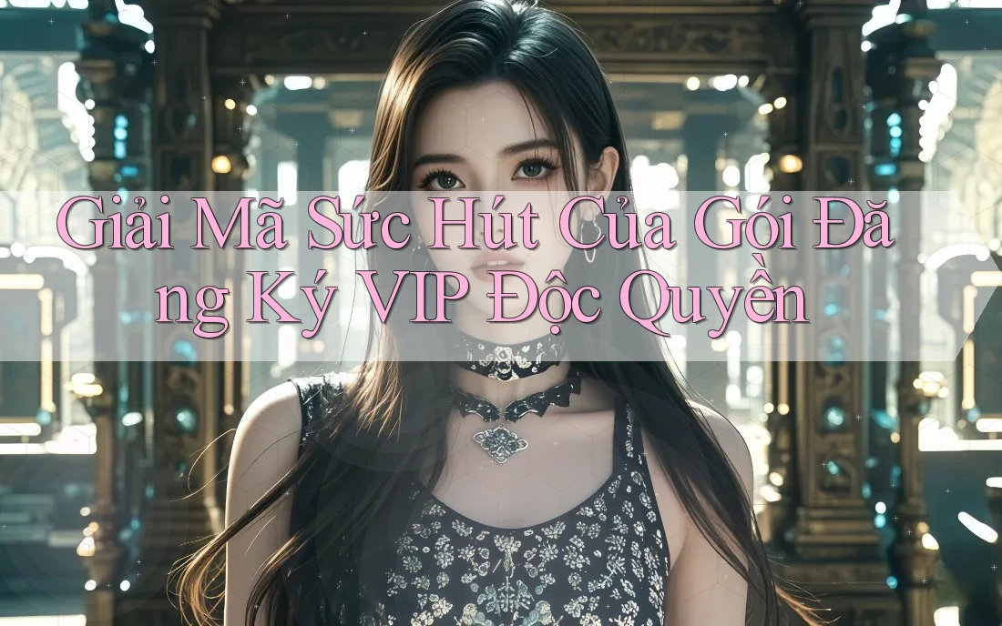 Giải Mã Sức Hút Của Gói Đăng Ký VIP Độc Quyền