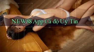 new88 app cá độ uy tín