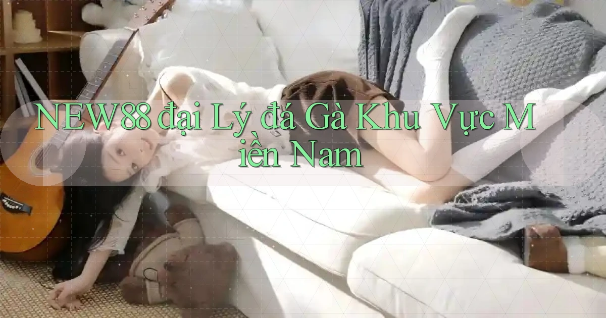 new88  đại lý đá gà khu vực miền nam