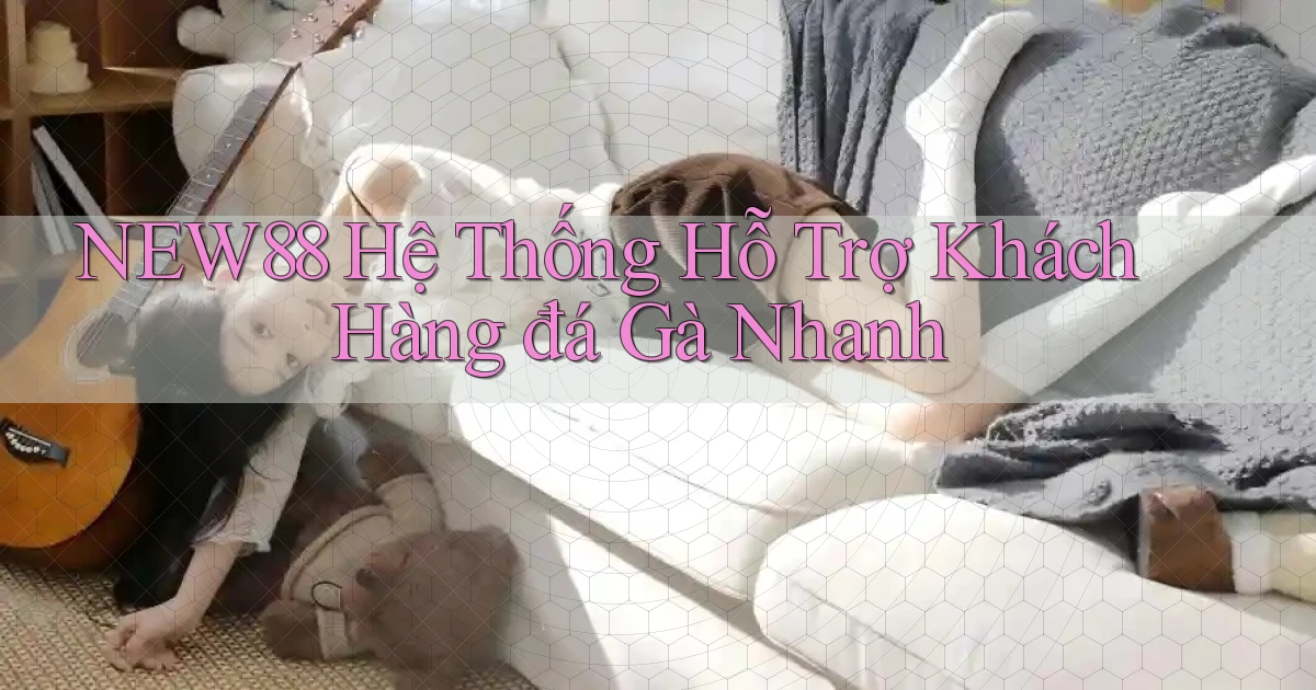 new88  hệ thống hỗ trợ khách hàng đá gà nhanh