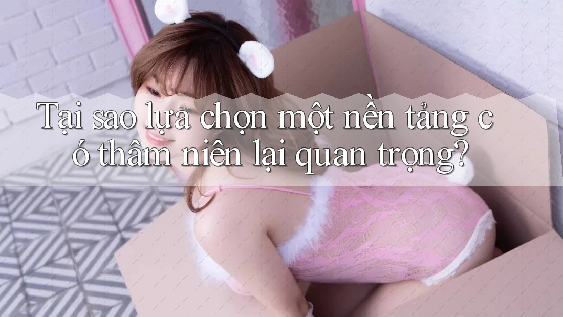 Tại sao lựa chọn một nền tảng có thâm niên lại quan trọng?