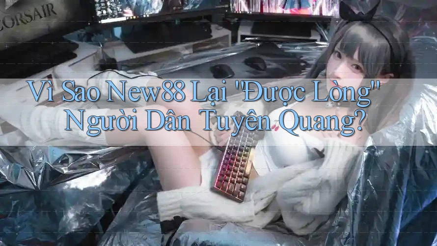 Vì Sao New88 Lại “Được Lòng” Người Dân Tuyên Quang?